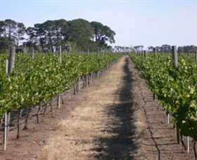 Mount Beckworth Wines - Kingaroy Accommodation 0