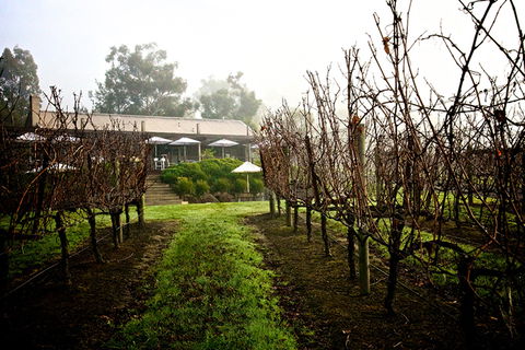 GREENSTONE VINEYARDS - Kingaroy Accommodation 4