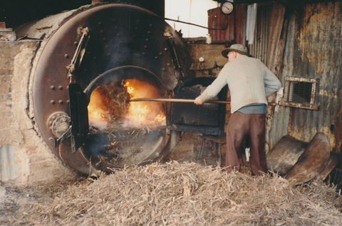 Eucalyptus Distillery Museum - Kingaroy Accommodation 2