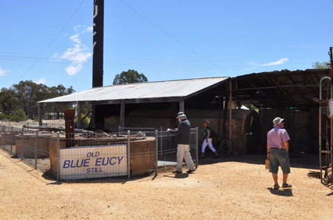 Eucalyptus Distillery Museum - Kingaroy Accommodation 3
