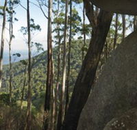 Gulaga National Park - Kingaroy Accommodation