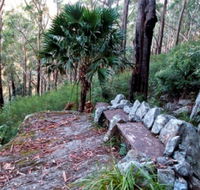 Wodi Wodi Walking Track - Kingaroy Accommodation