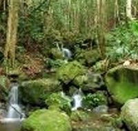 Budderoo National Park - Kingaroy Accommodation