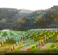 Tilba Valley Wines - Kingaroy Accommodation