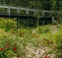 Eurobodalla Botanic Gardens