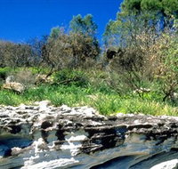 Abrahams Bosom Reserve - Kingaroy Accommodation