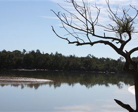 North Coast Holiday Parks Boambee Creek Reserve - Kingaroy Accommodation 0