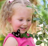 Coffs Harbour Butterfly House - Kingaroy Accommodation