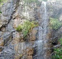 Wedding Bells Forest Drive - Kingaroy Accommodation