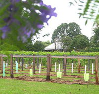 Douglas Vale Historic Homestead  Vineyard - Kingaroy Accommodation