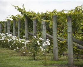 Lambert Vineyards Cellar Door - Kingaroy Accommodation 2
