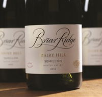 Briar Ridge Vineyard - Kingaroy Accommodation