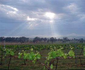 Thunder Ridge Wines - Kingaroy Accommodation 1