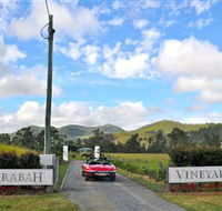 Sarabah Estate Vineyard - Kingaroy Accommodation