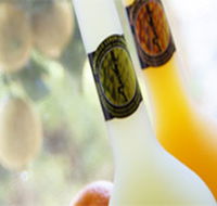 Ambra Limoncello - Kingaroy Accommodation