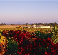 Morris Wines - Kingaroy Accommodation