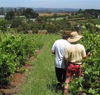 Sir Paz Estate - Kingaroy Accommodation