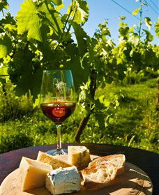 King River Estate - Kingaroy Accommodation 3