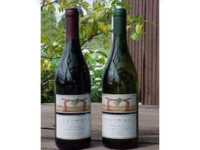 North Esk River Vineyard - Kingaroy Accommodation 0