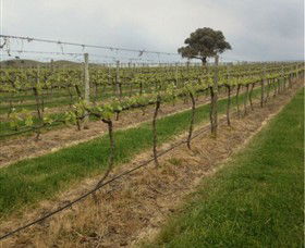 Indigo Vineyard - Kingaroy Accommodation 1