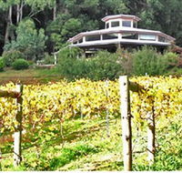 Peveril Vineyard/Beechy Berries - Kingaroy Accommodation