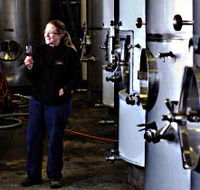 Holm Oak Vineyard - Kingaroy Accommodation