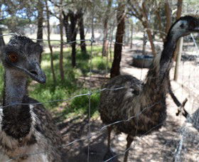 Narana Aboriginal Cultural Centre - Kingaroy Accommodation 4