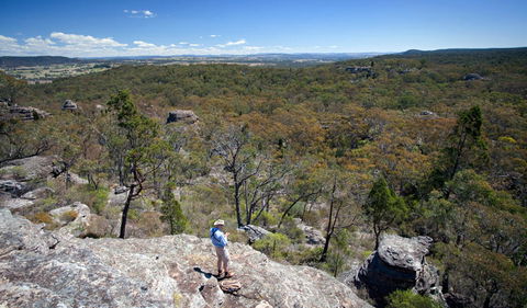Munghorn Gap Nature Reserve - Kingaroy Accommodation 1