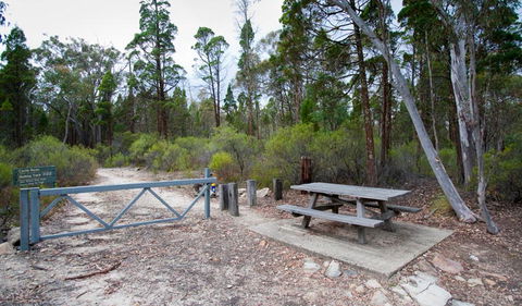 Munghorn Gap Nature Reserve - Kingaroy Accommodation 2