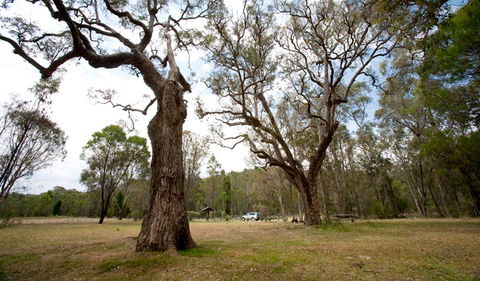 Munghorn Gap Nature Reserve - Kingaroy Accommodation 3