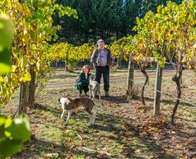 Taggerty VIC Kingaroy Accommodation