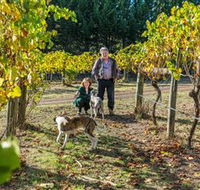 Little River Wines of Taggerty - Kingaroy Accommodation
