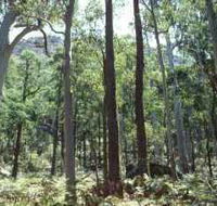 Cathedral Range State Park - Kingaroy Accommodation