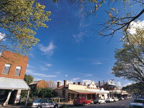 Drysdale Cheeses - Kingaroy Accommodation 1