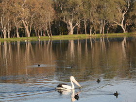 Drysdale Cheeses - Kingaroy Accommodation 7