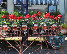 Van Loon's Nursery - Kingaroy Accommodation 0