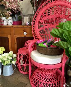 Van Loon's Nursery - Kingaroy Accommodation 3