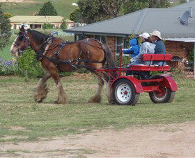 Bathurst Farm Experience - Kingaroy Accommodation 3