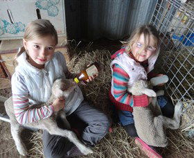Bathurst Farm Experience - Kingaroy Accommodation 4
