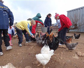 Bathurst Farm Experience - Kingaroy Accommodation 2