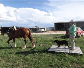Bathurst Farm Experience - Kingaroy Accommodation 6