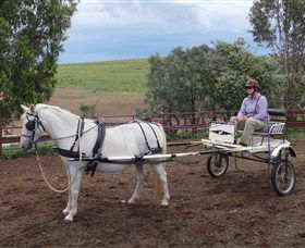Bathurst Farm Experience - Kingaroy Accommodation 8