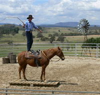Boggy Creek Shows - Kingaroy Accommodation