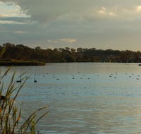 Lake Inverell Reserve - Kingaroy Accommodation