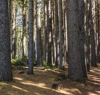 Sugarpine Walk - Kingaroy Accommodation