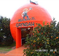 Gayndahs Big Orange - Kingaroy Accommodation