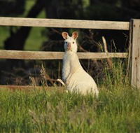 Panorama Garden Estate - Kingaroy Accommodation