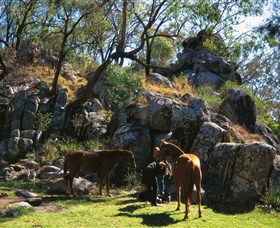  Kingaroy Accommodation