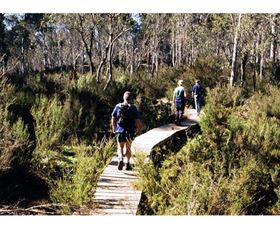 Hume And Hovell Walking Track - Henry Angel Trackhead - Kingaroy Accommodation 0
