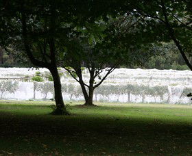 Staindl Wines - Kingaroy Accommodation 0
